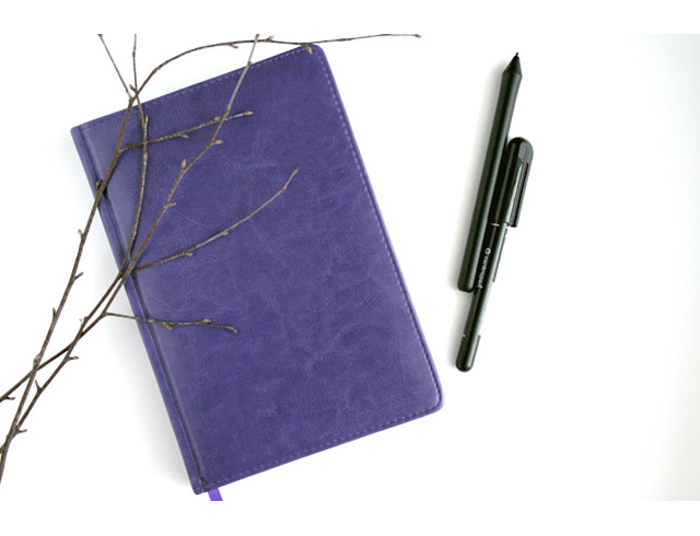 pexels-alena-koval-816527